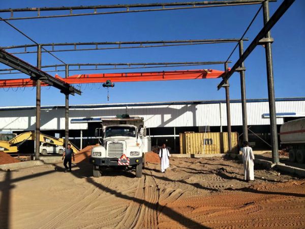 起重机国外安装现场